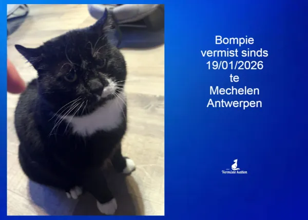 Bompie