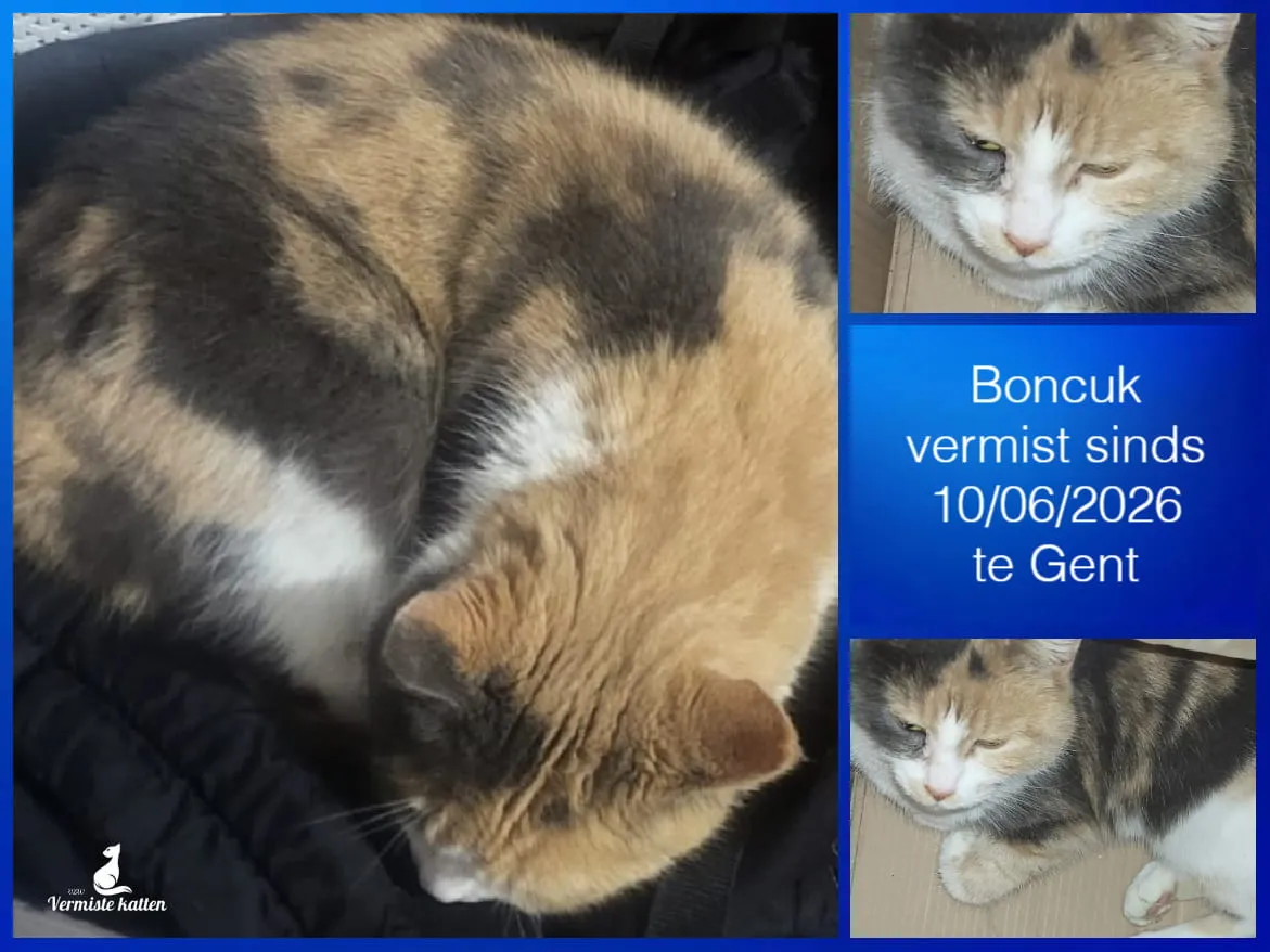 Boncuk
