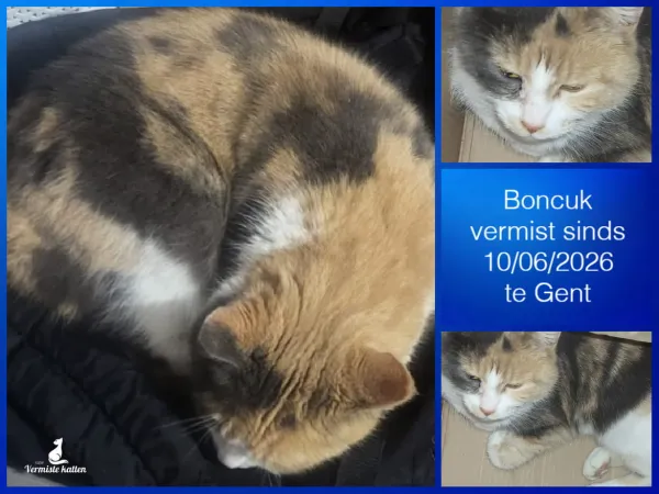 Boncuk