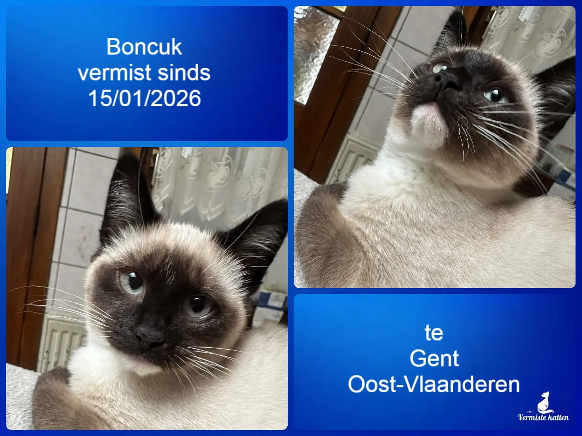 Boncuk