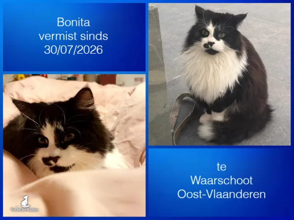 Bonita
