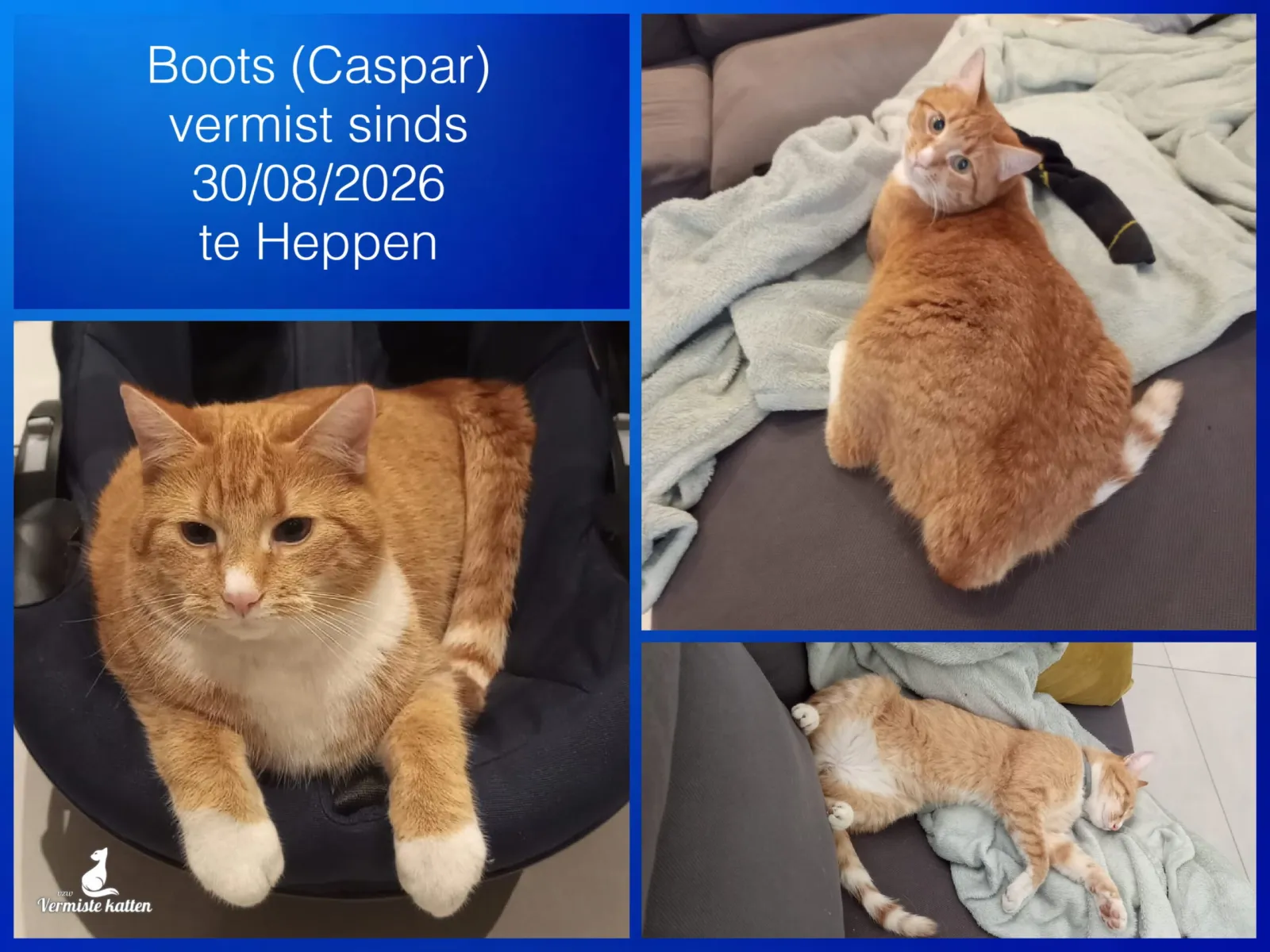 Boots/Caspar (oude naam van asiel)