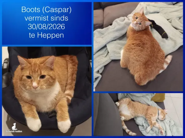 Boots/Caspar (oude naam van asiel)