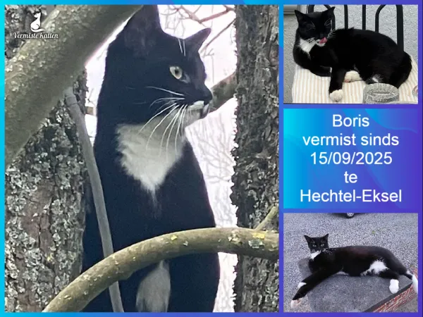 Boris