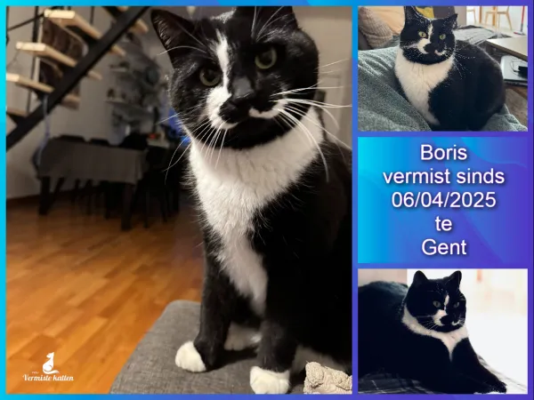 Boris