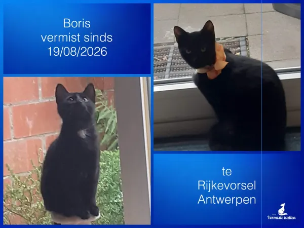 Boris