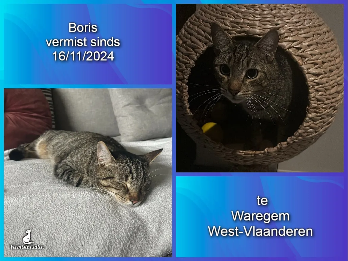 Boris