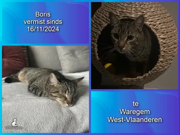 Boris