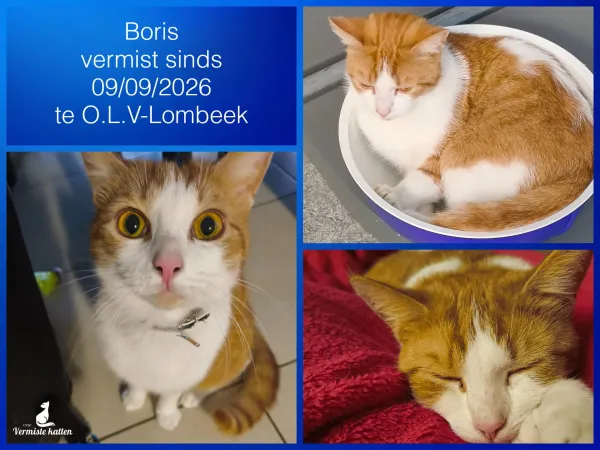 Boris