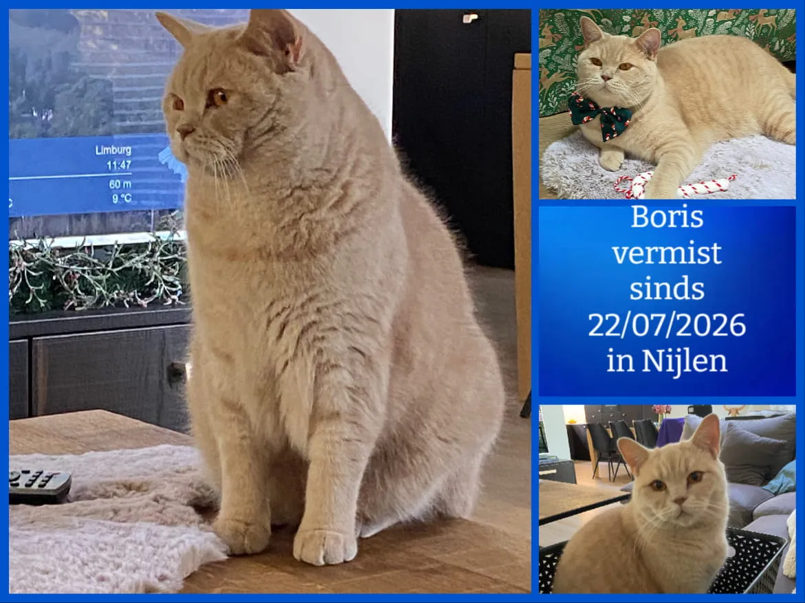 Boris