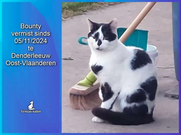 Bounty