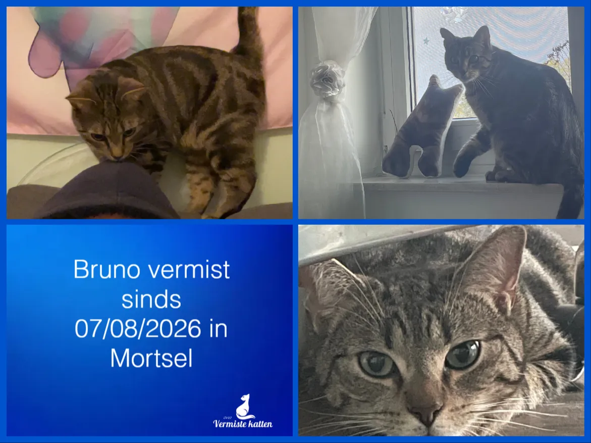 Bruno