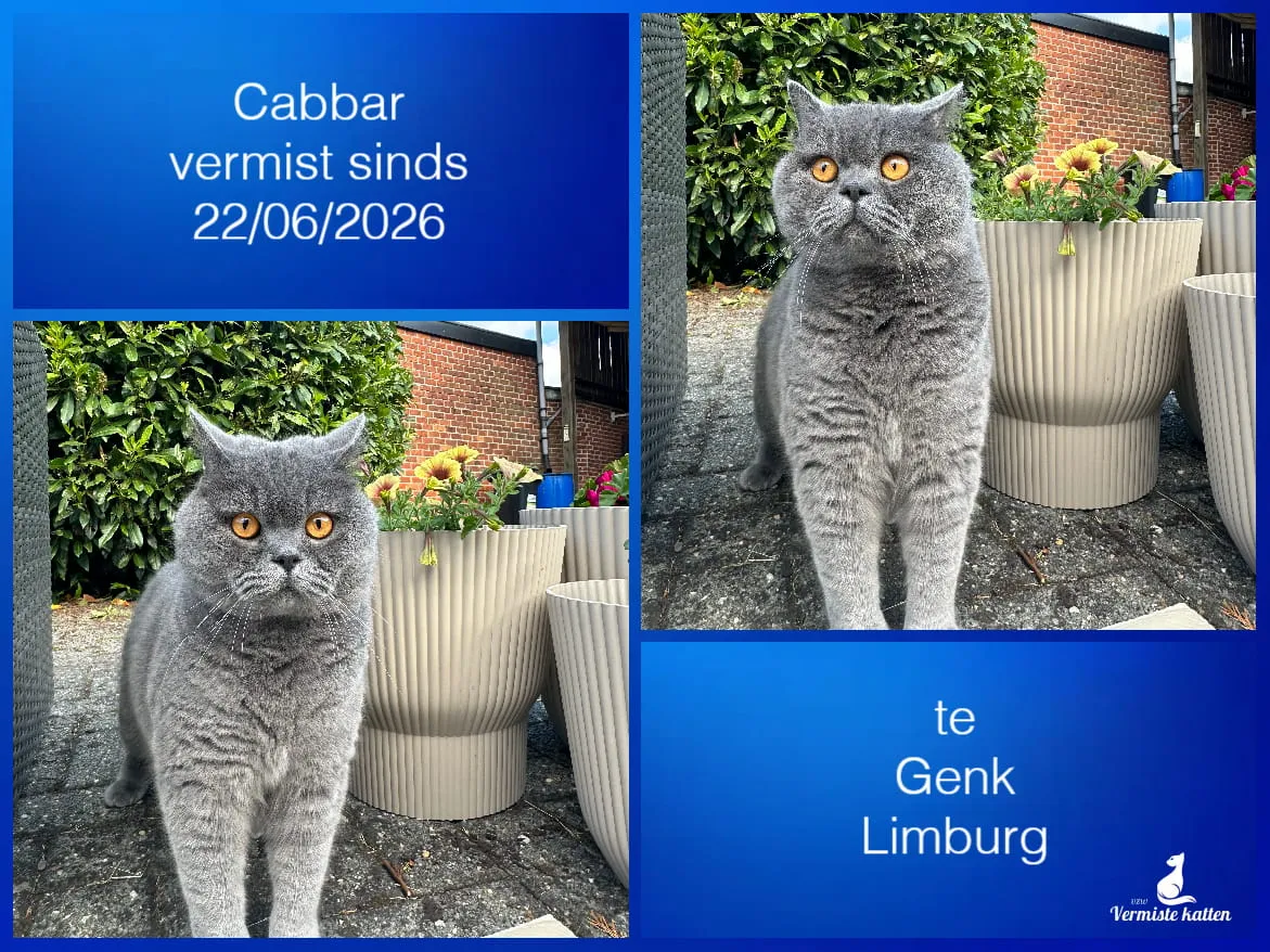 Cabbar