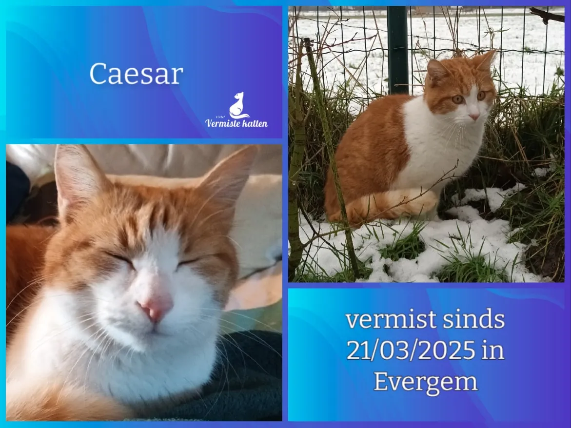 Caesar