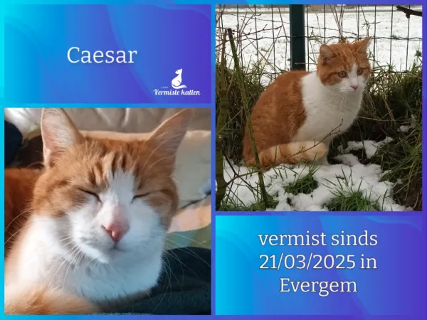 Caesar