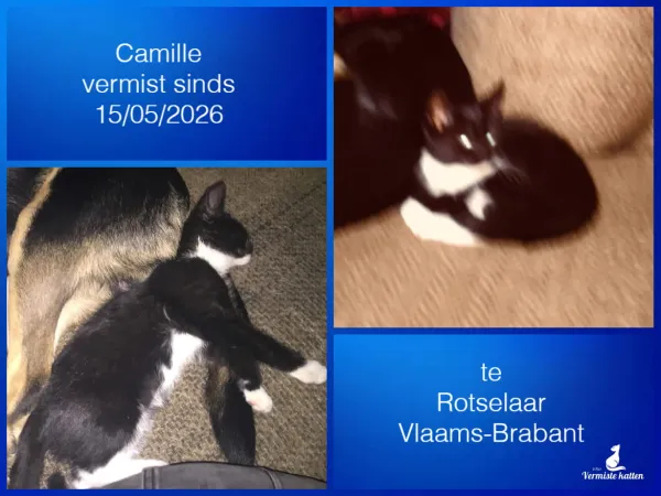 Camille