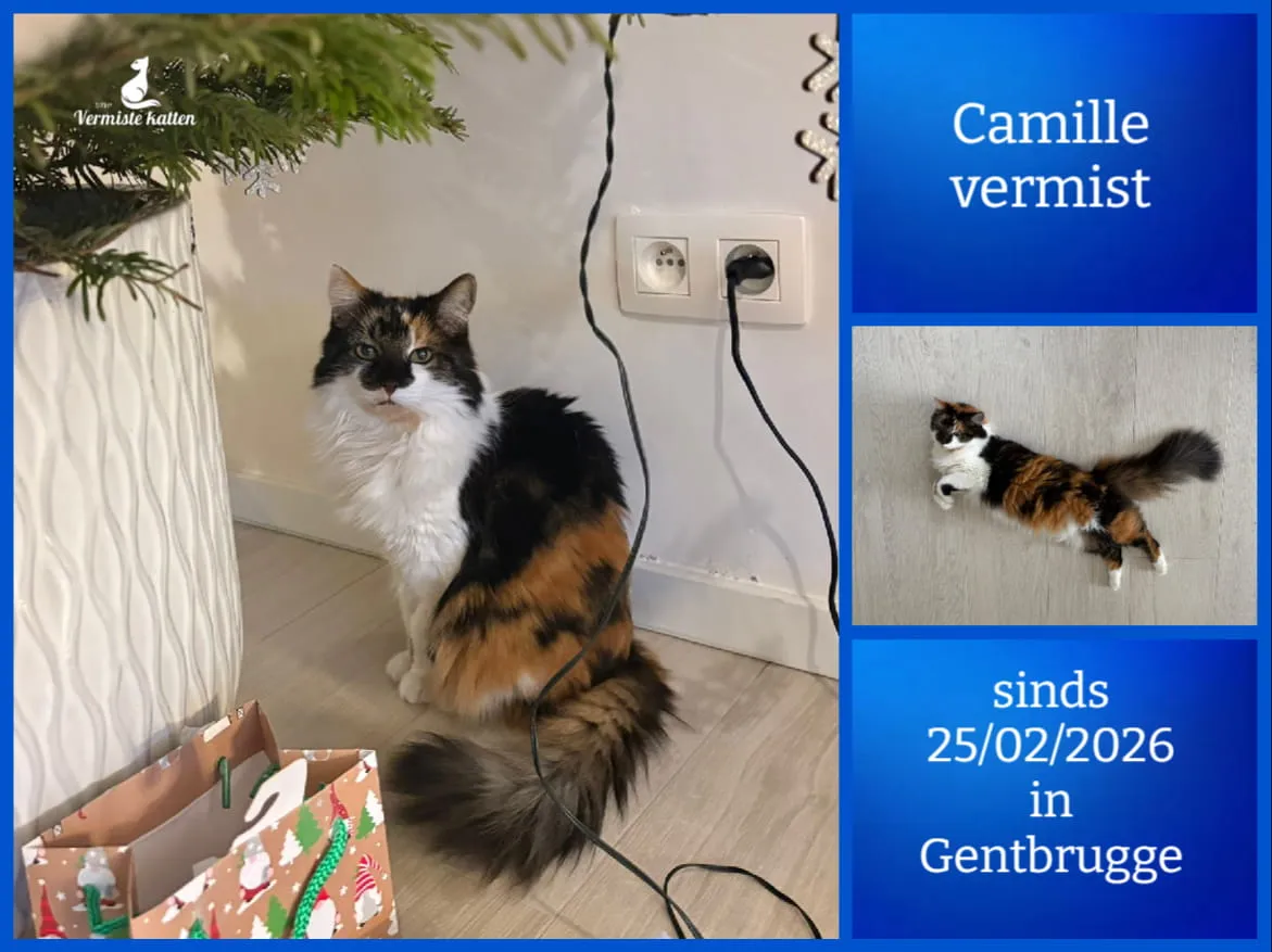Camille
