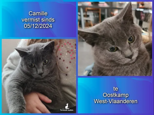 Camille