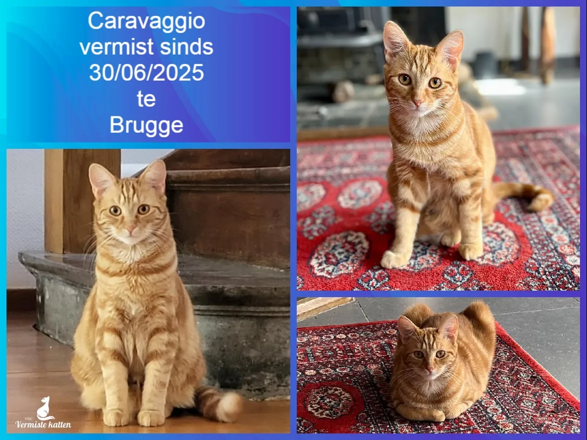 Caravaggio