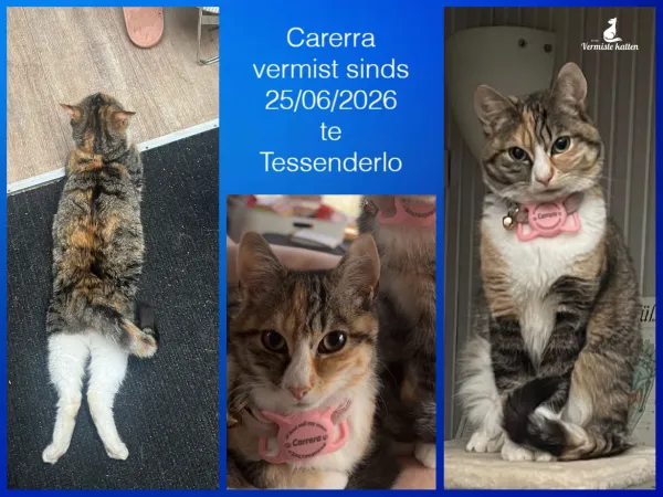 Carerra