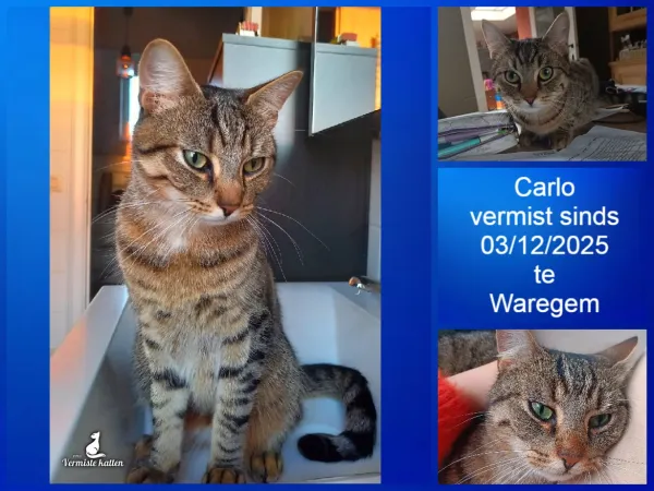 Carlo