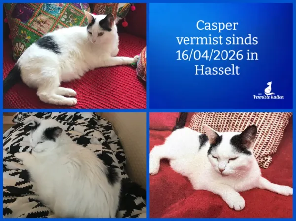 Casper