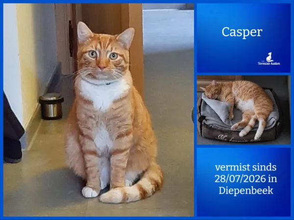 Casper