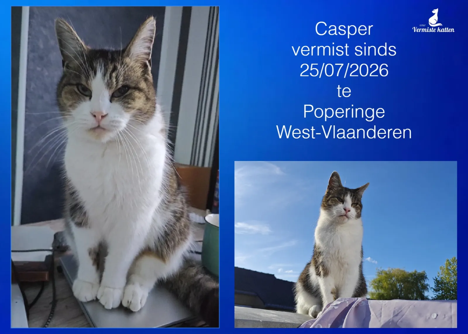 Casper