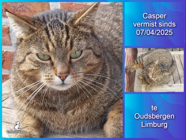 Casper