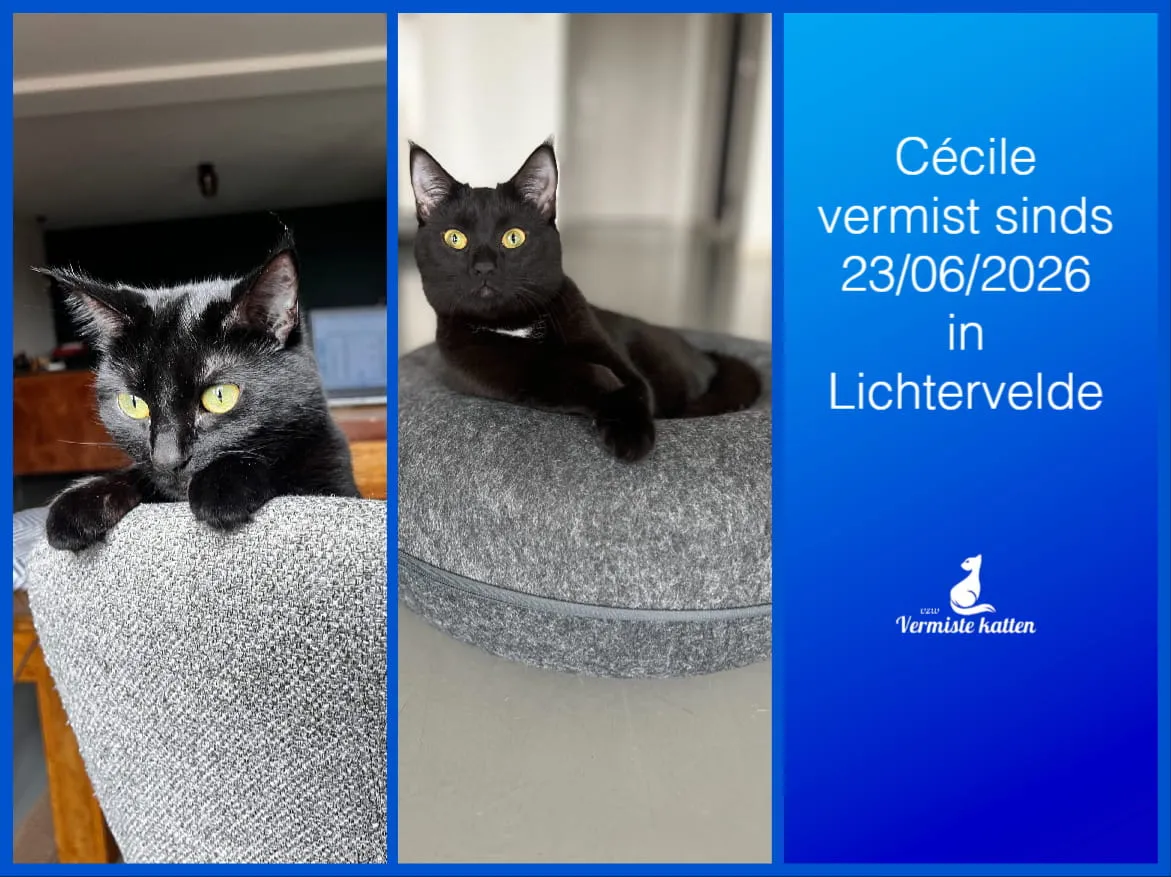 Cécile