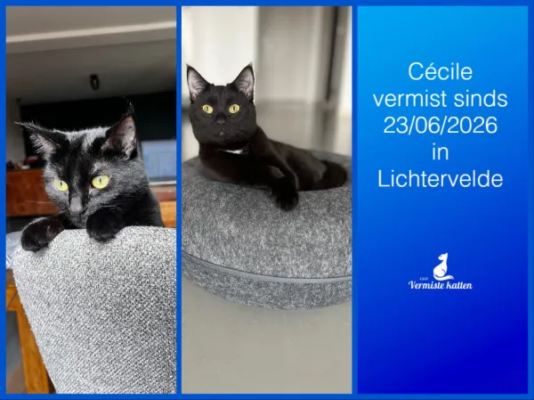 Cécile