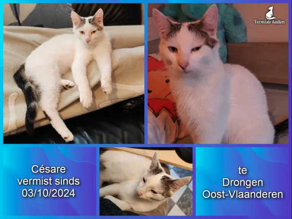 Césare