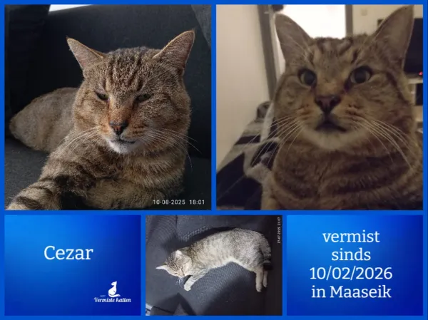 Cezar