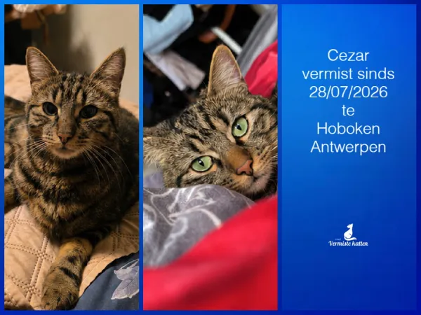 Cezar
