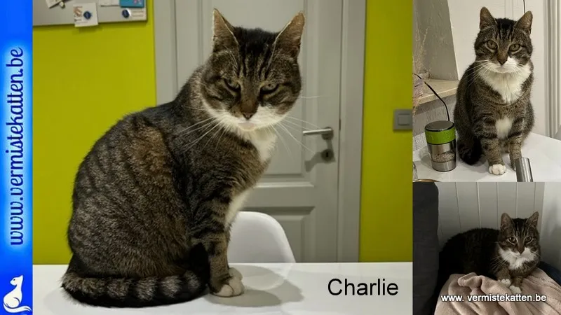 Charlie