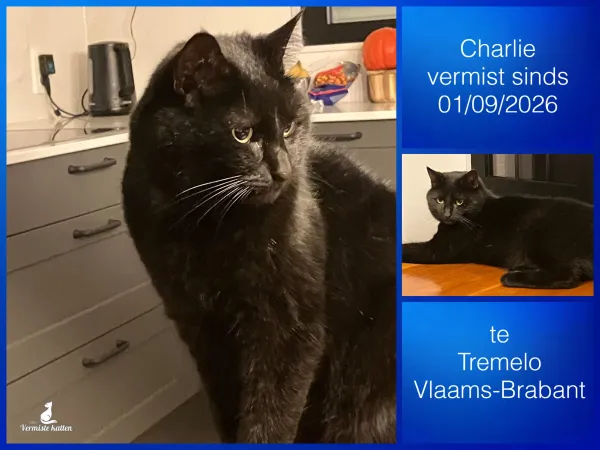 Charlie