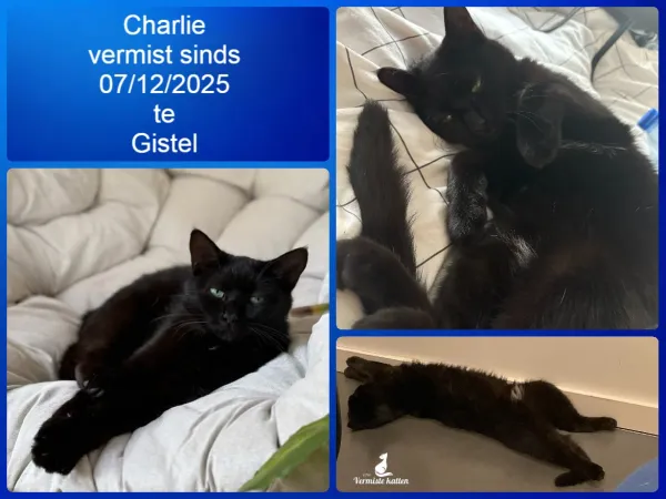 Charlie