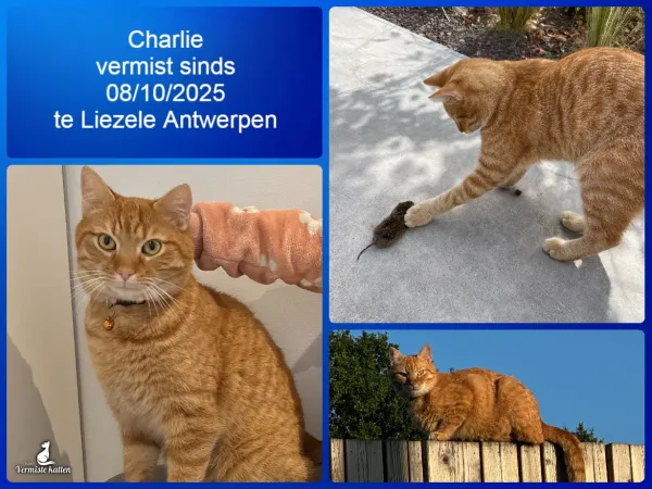 Charlie