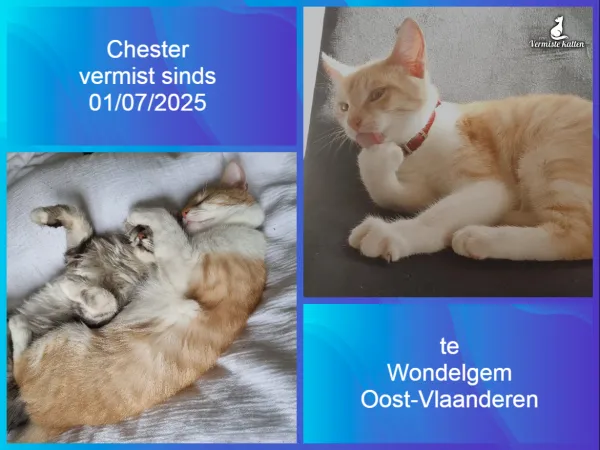 Chester