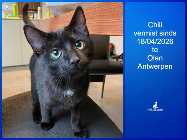 chili