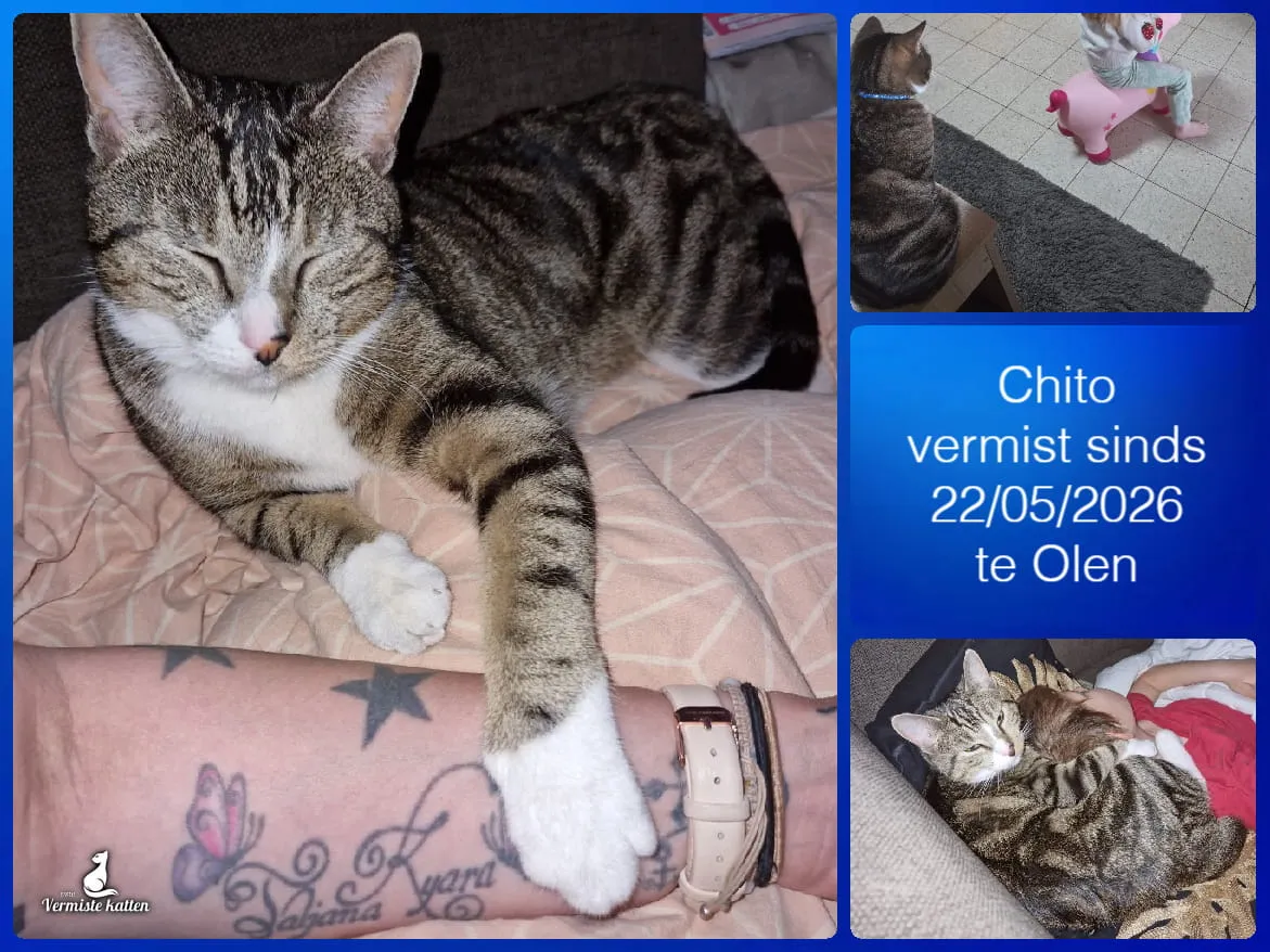 Chito