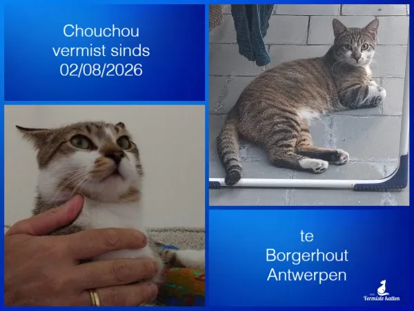 Chouchou