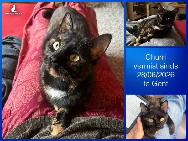 Churri