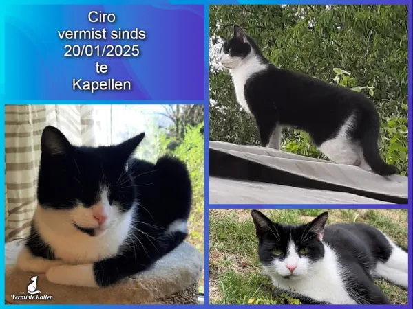 Ciro