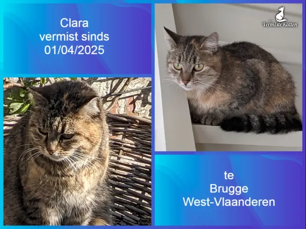 Clara
