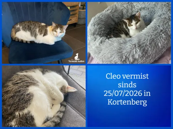 Cleo