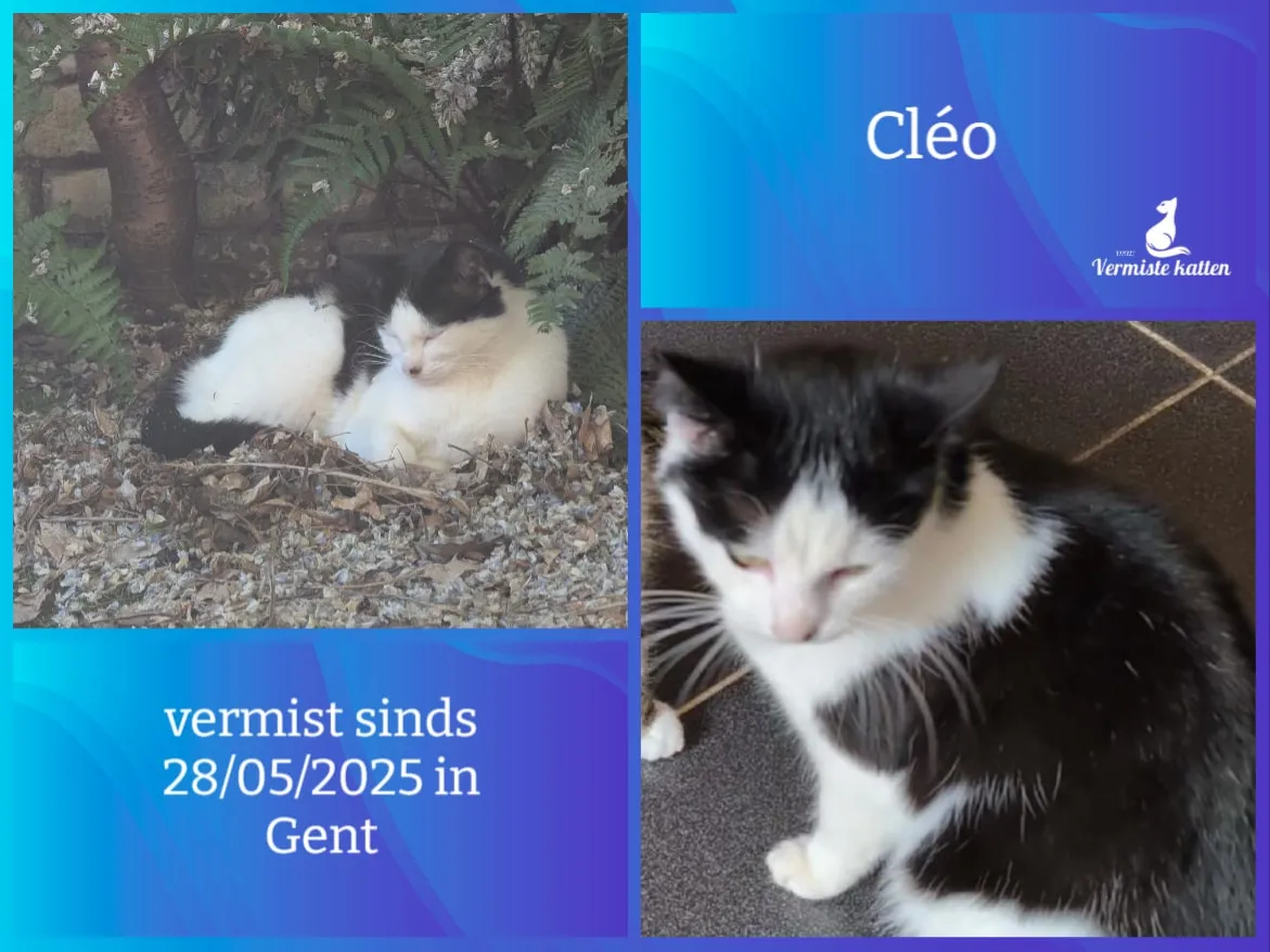 Cléo