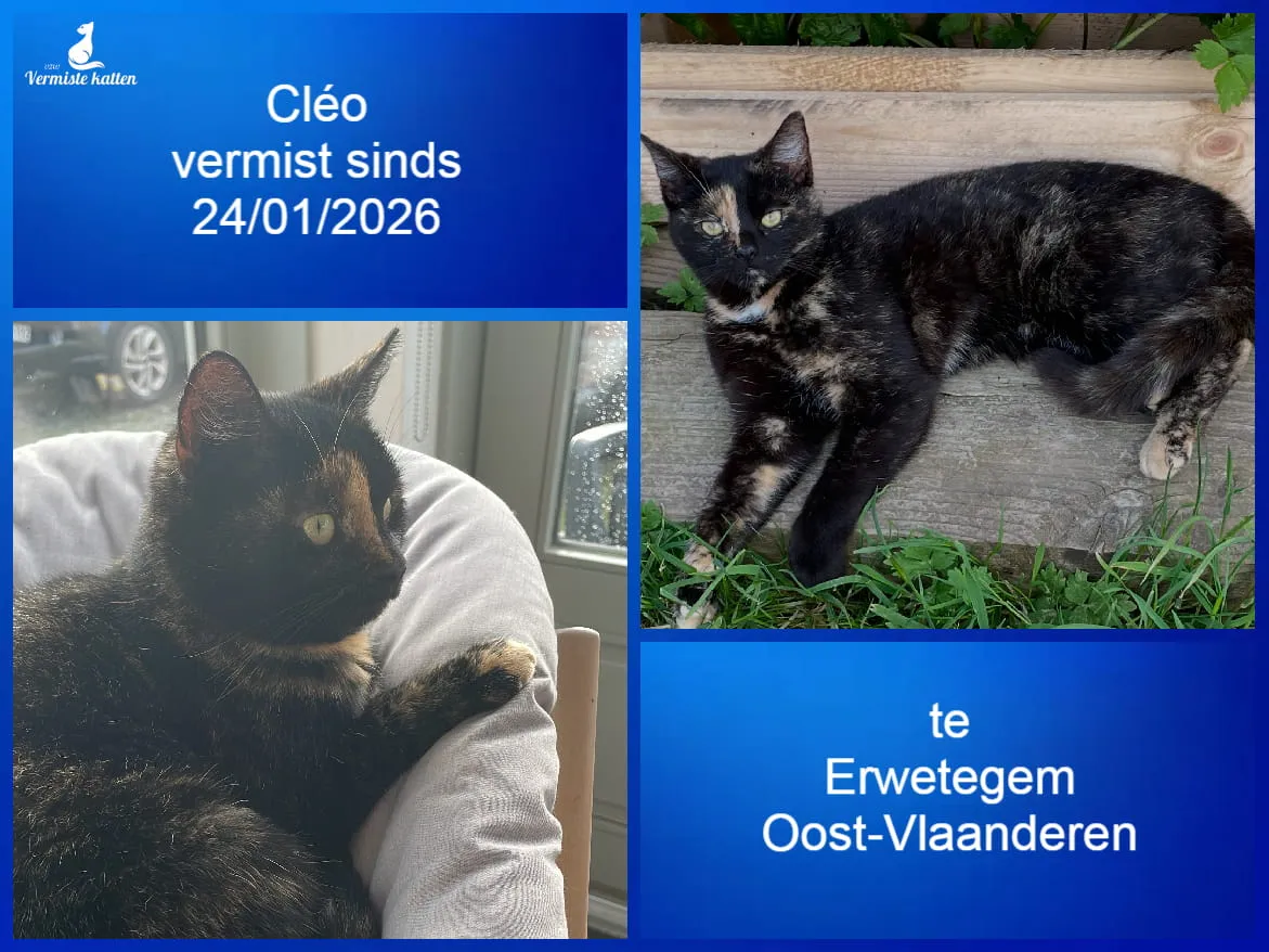Cléo