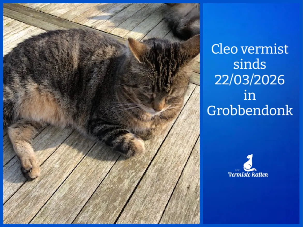 Cleo