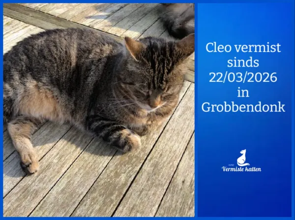 Cleo